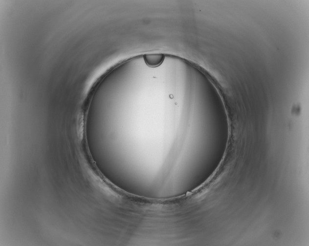 X0000092051510200709191110