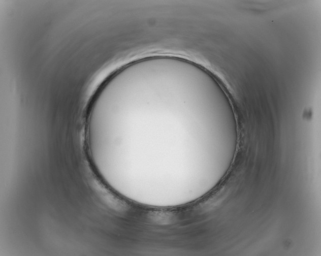 X0000092051511200709191110