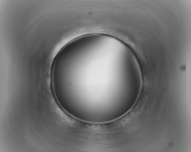 X0000092051512200709191110