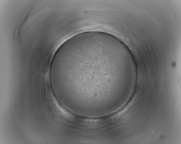 X0000092051513200709191110