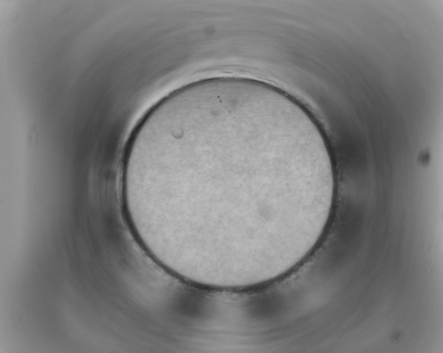 X0000092051514200709191110