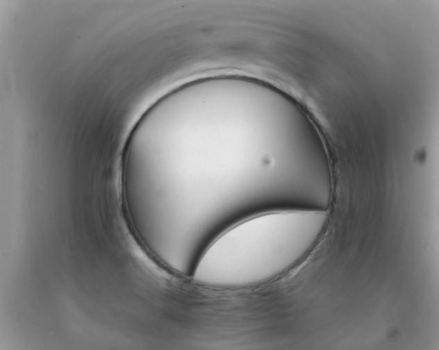 X0000092051516200709191110