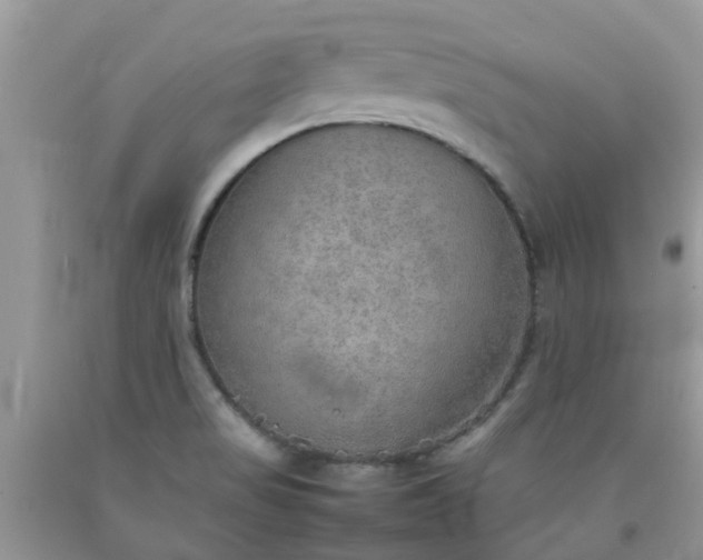 X0000092051517200709191110