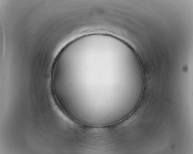 X0000092051518200709191110