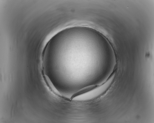 X0000092051520200709191110