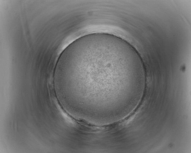 X0000092051521200709191110