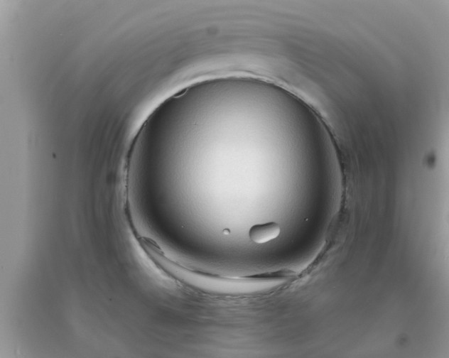 X0000092051524200709191110