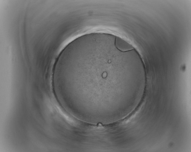 X0000092051525200709191110