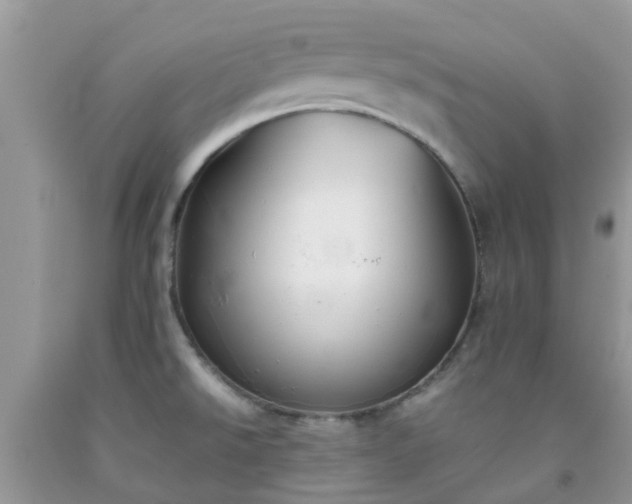 X0000092051526200709191110