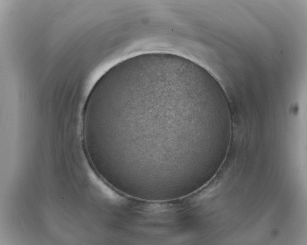 X0000092051527200709191110