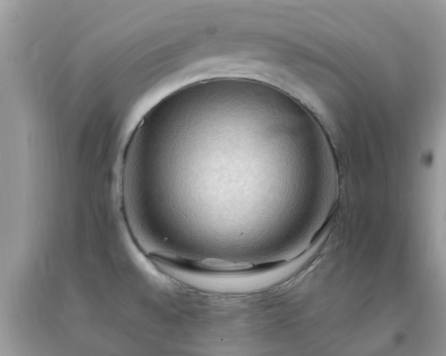 X0000092051528200709191110