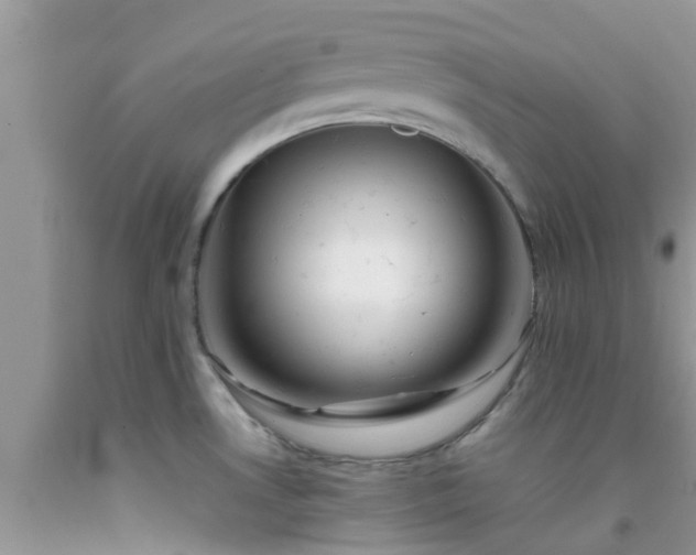 X0000092051530200709191110