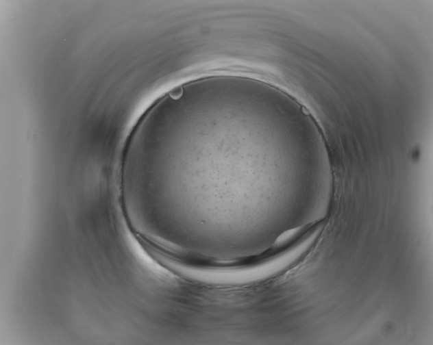 X0000092051531200709191110