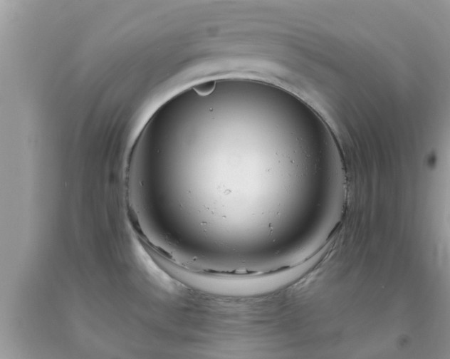 X0000092051532200709191110