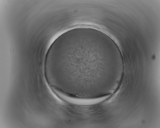 X0000092051533200709191110