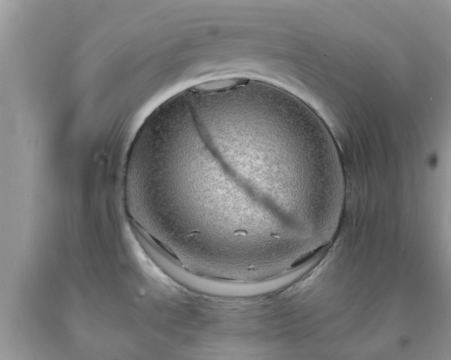 X0000092051534200709191110