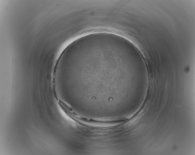 X0000092051535200709191110