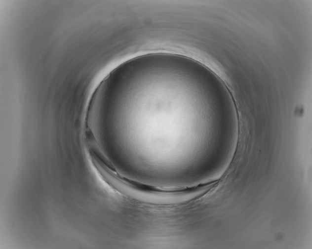 X0000092051536200709191110