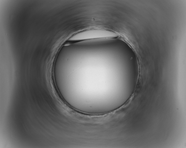 X0000092050001200709262018