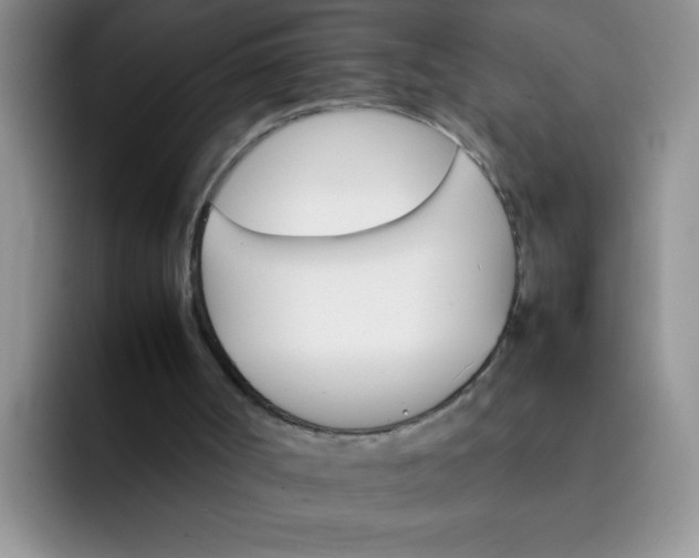 X0000092050002200709262018