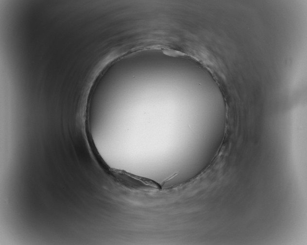 X0000092050003200709262018