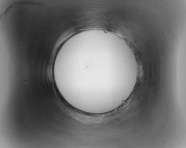 X0000092050004200709262018