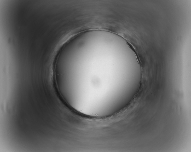 X0000092050005200709262018