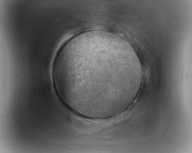 X0000092050006200709262018