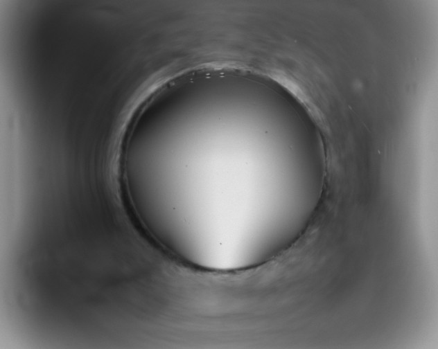 X0000092050007200709262018