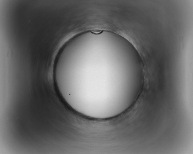 X0000092050008200709262018