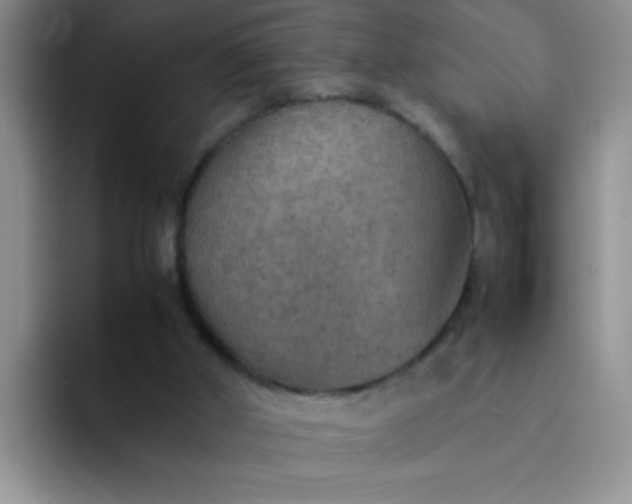 X0000092050010200709262018