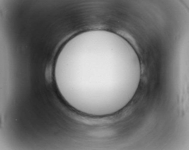 X0000092050012200709262018