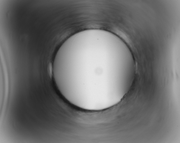 X0000092050013200709262018