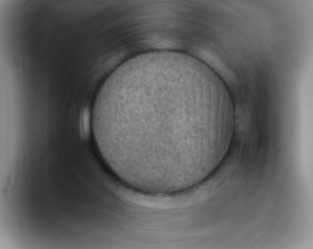 X0000092050014200709262018