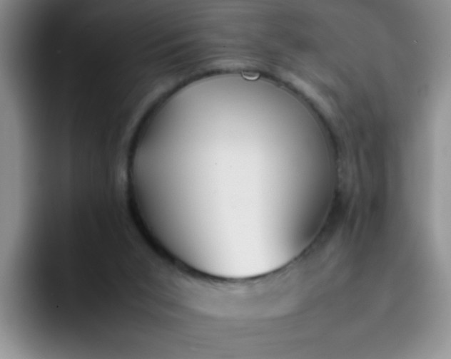 X0000092050015200709262018