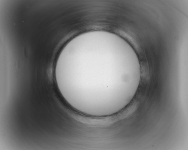 X0000092050016200709262018