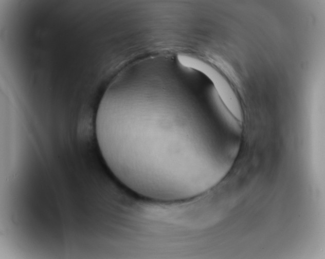 X0000092050017200709262018