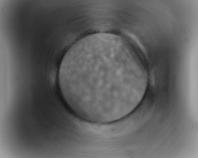 X0000092050018200709262018