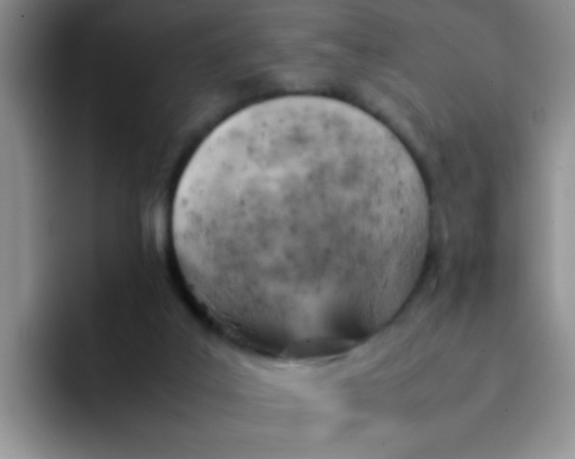 X0000092050019200709262018