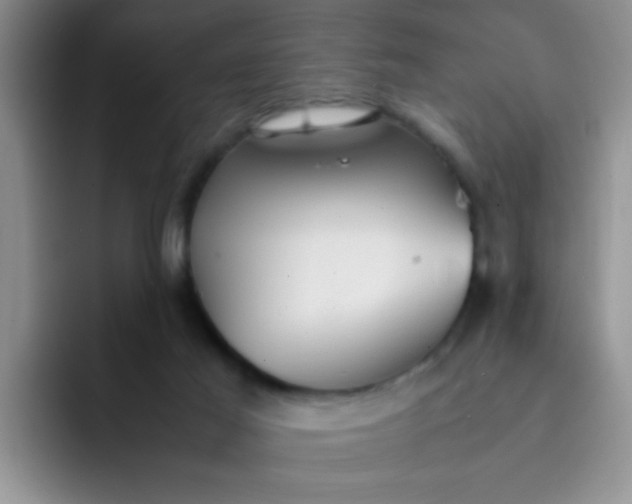 X0000092050021200709262018