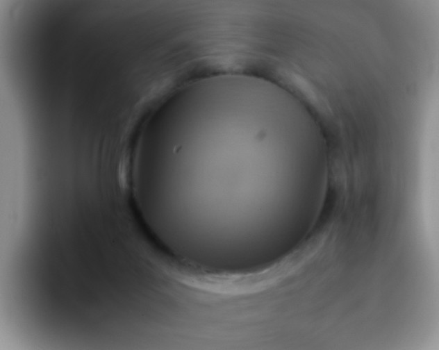 X0000092050023200709262018