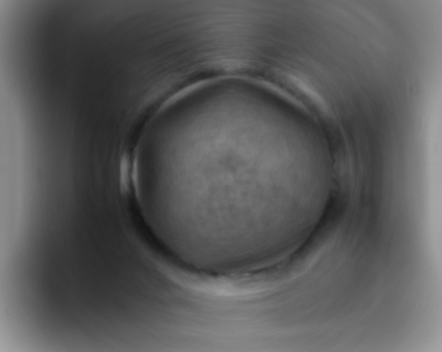 X0000092050024200709262018