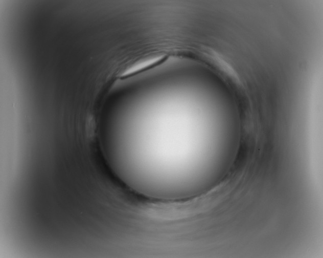 X0000092050025200709262018