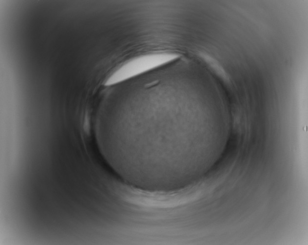 X0000092050026200709262018