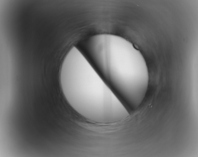 X0000092050027200709262018