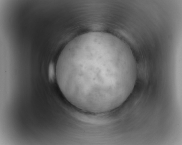 X0000092050028200709262018