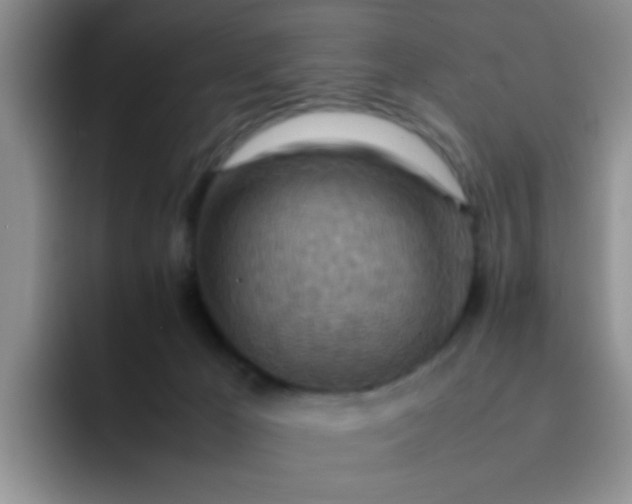 X0000092050029200709262018