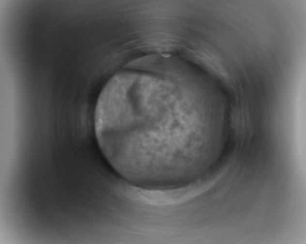 X0000092050030200709262017