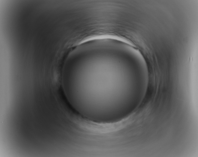 X0000092050031200709262017