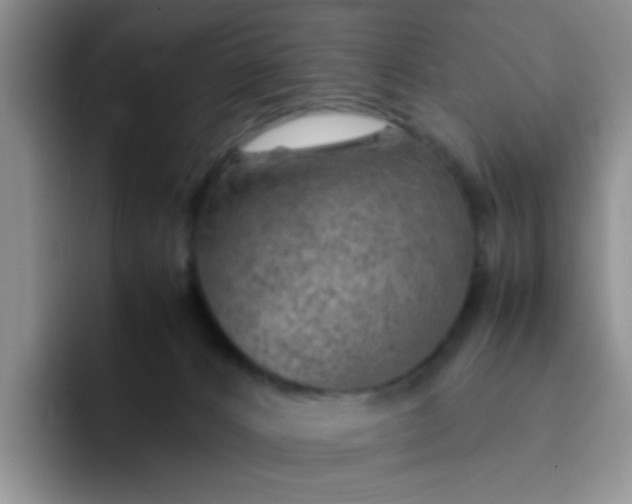 X0000092050032200709262017